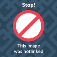 Sixteen Nine Pro